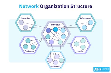 The network .